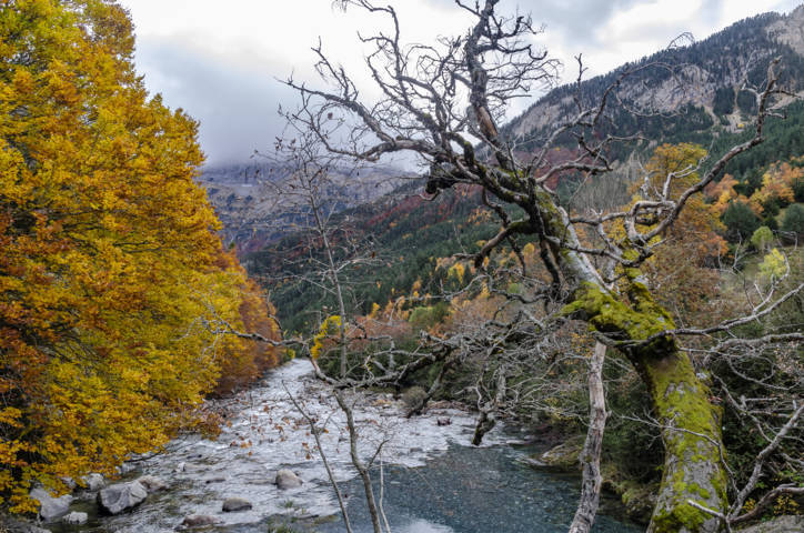 Huesca - valle de Bujaruelo 06 - rio Ara.jpg